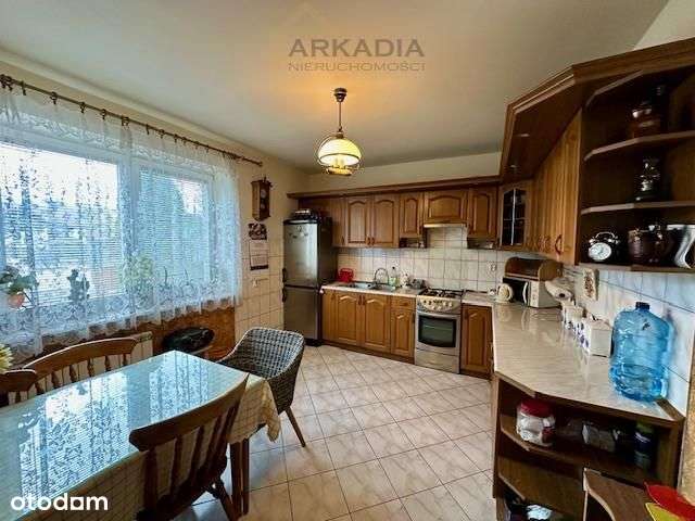 Gotowy do wprowadzenia!z potencjałem!-5