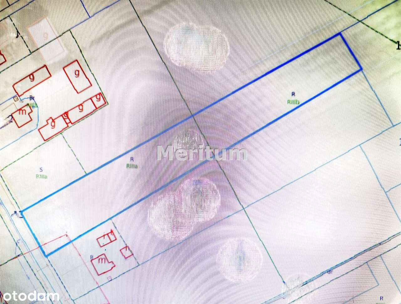 Rola z warunkami zabudowy. Sad wiśniowy. - Pełny obrazek: 4/6