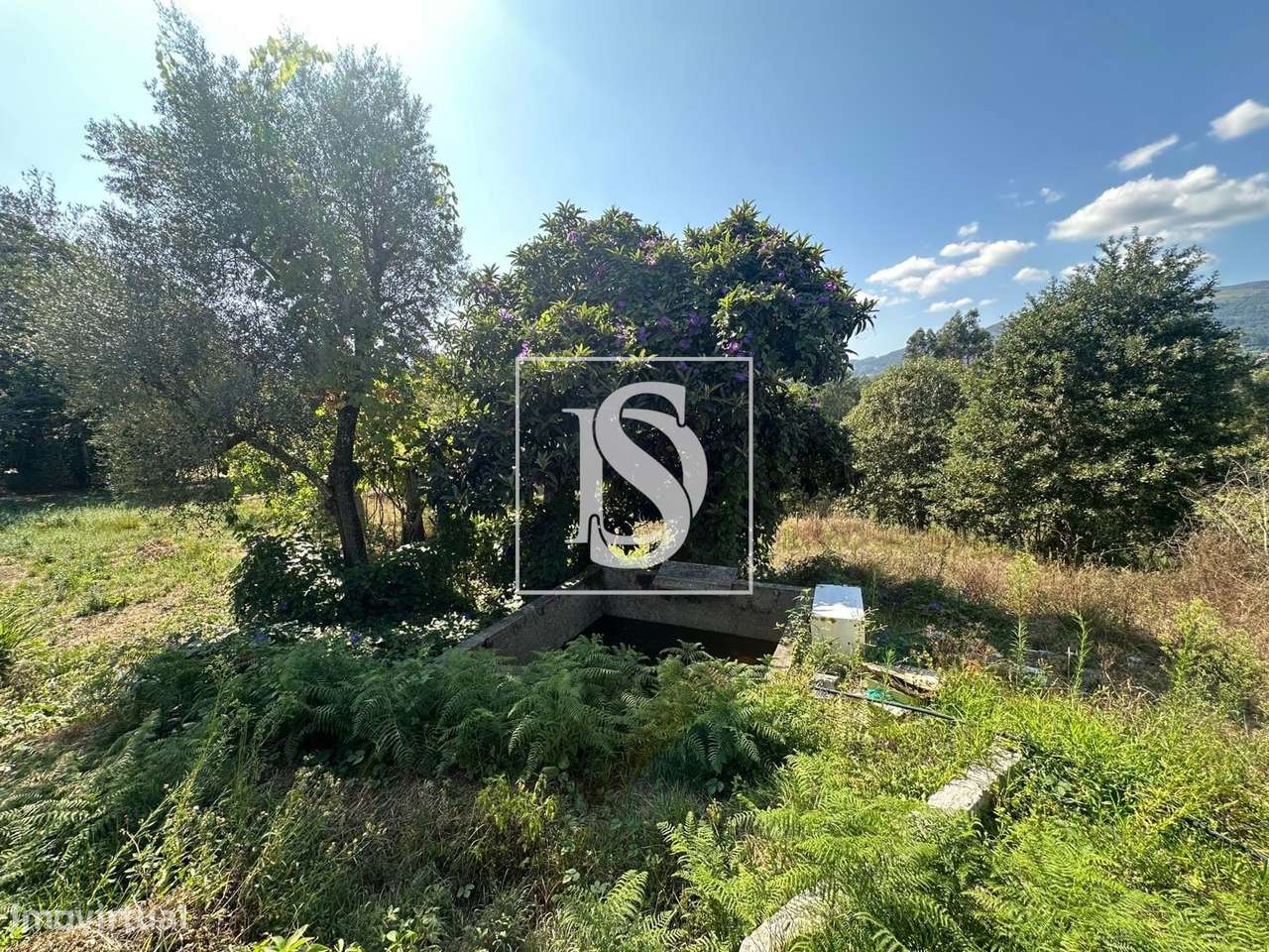 Moradia Rústica para recuperar em Ponte de Lima - Grande imagem: 5/8