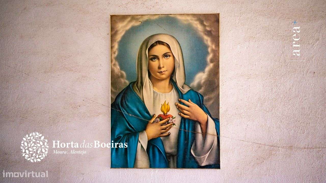 Imóvel Exclusivo | Hortas das Boeiras-29