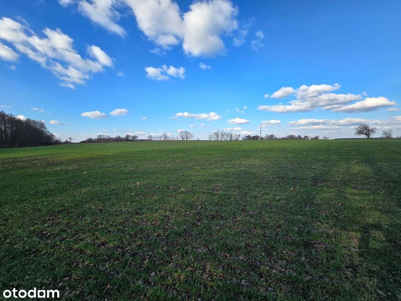 Działki w Jarosławkach 2 z 8szt po 50zł/m2-5