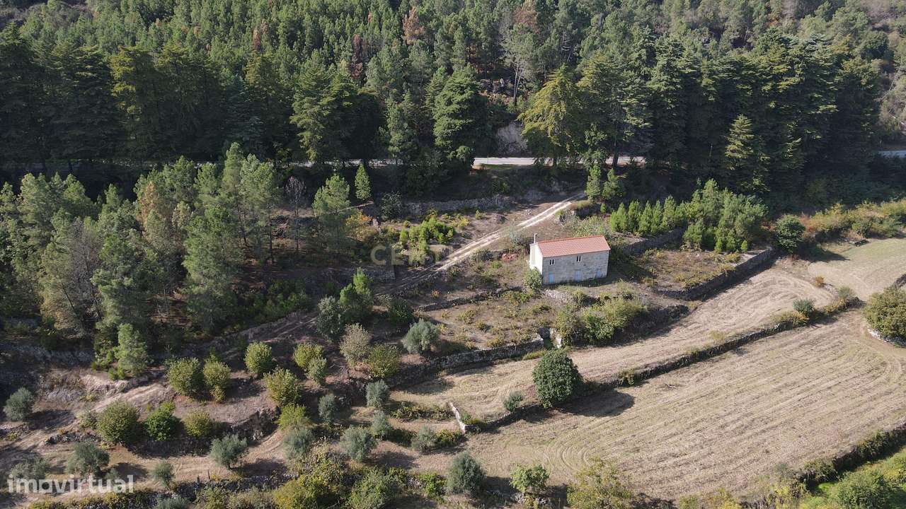 Quintinha próximo de Fornos de Algodres - Grande imagem: 2/9