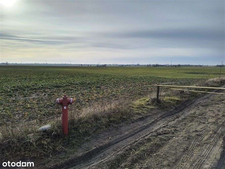 Działka/przemysł na sprzedaż - Pełny obrazek: 4/7