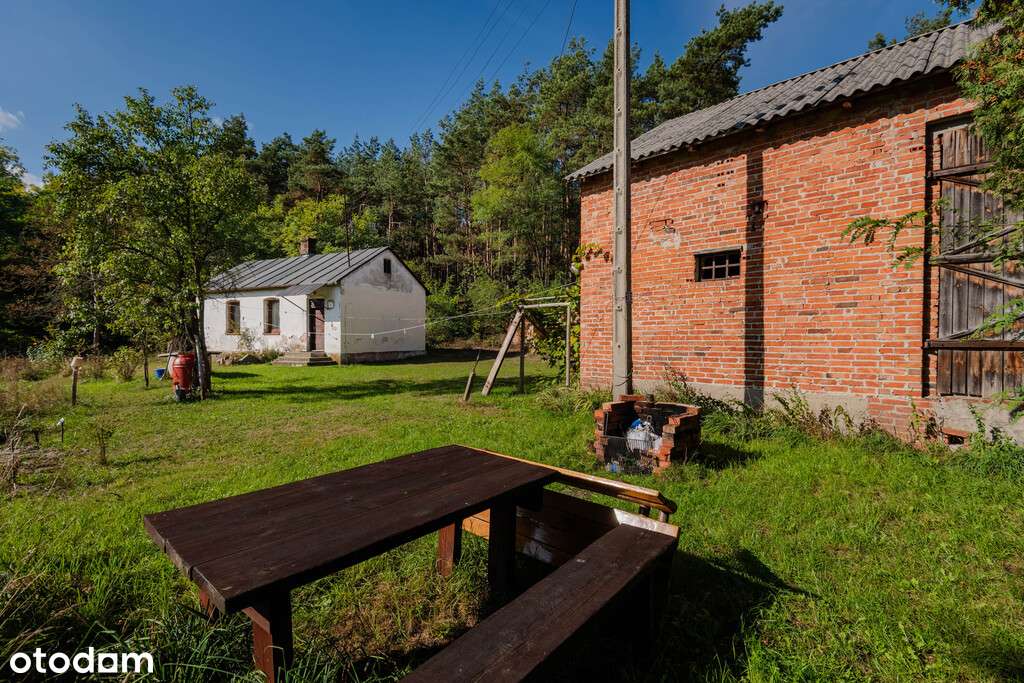 ✅Sprawdź >>> Siedlisko z linią brzegową 2302m2✅ - Pełny obrazek: 4/9