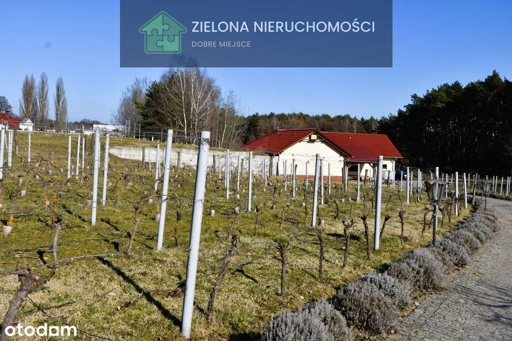 Posiadłość z winnicą w Zielonej Górze-11