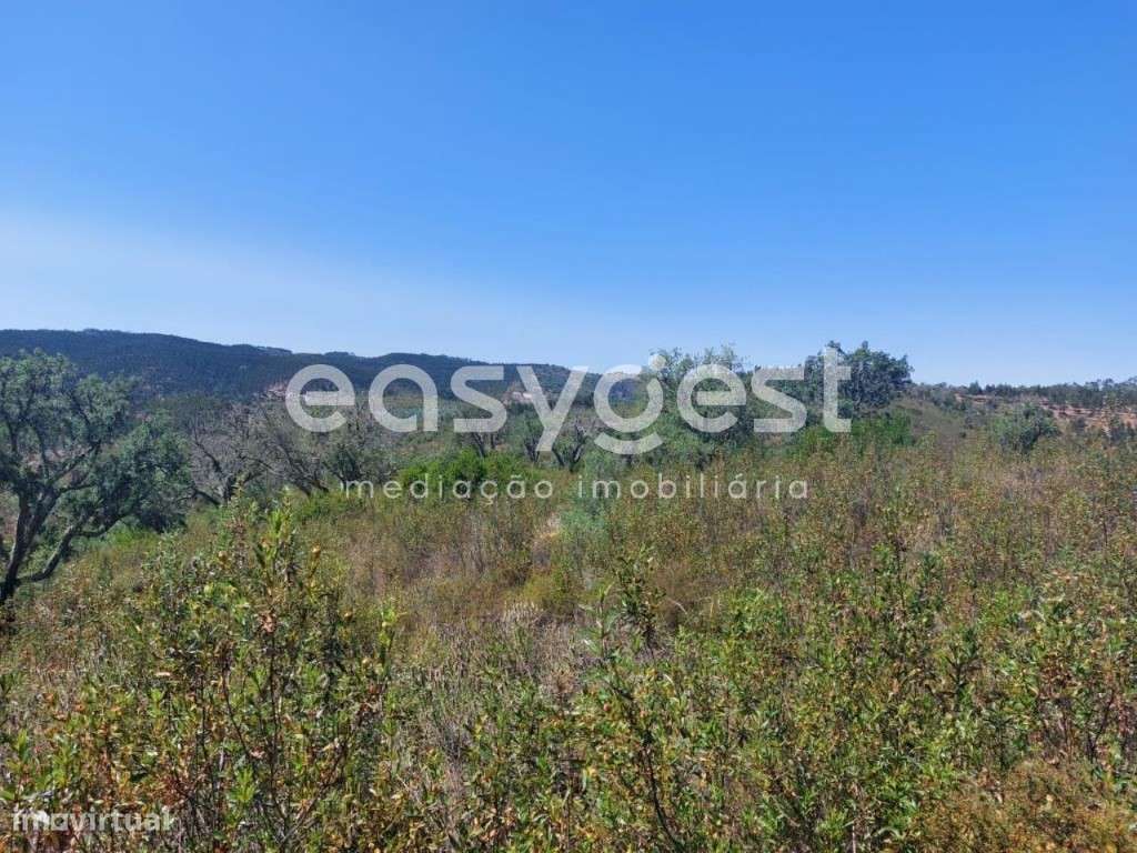 Terreno Rústico com 68.250m2 localizado na freguesia de Luzianes-Gare - Grande imagem: 3/15