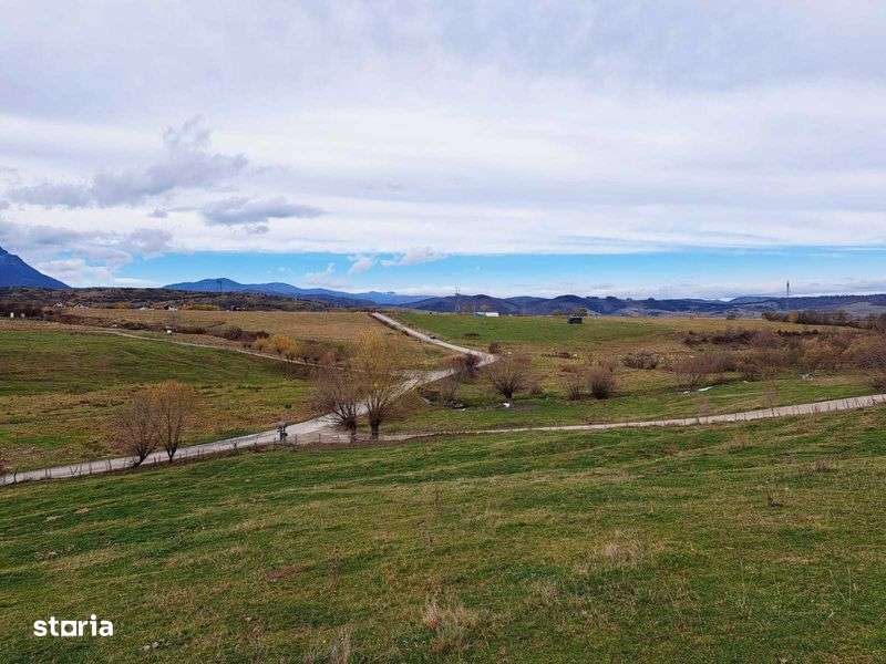 Teren intravilan Sohodol 1405 mp - Imagine principală: 5/7