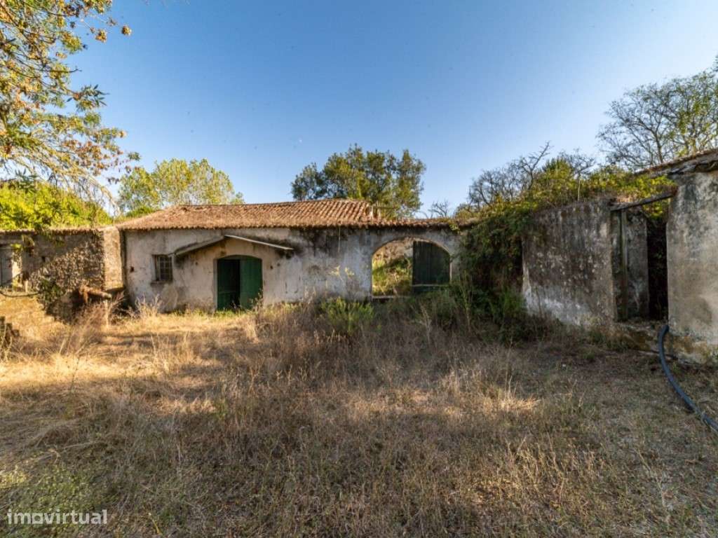 Propriedade - Freiria - Sobral Monte Agraço-8