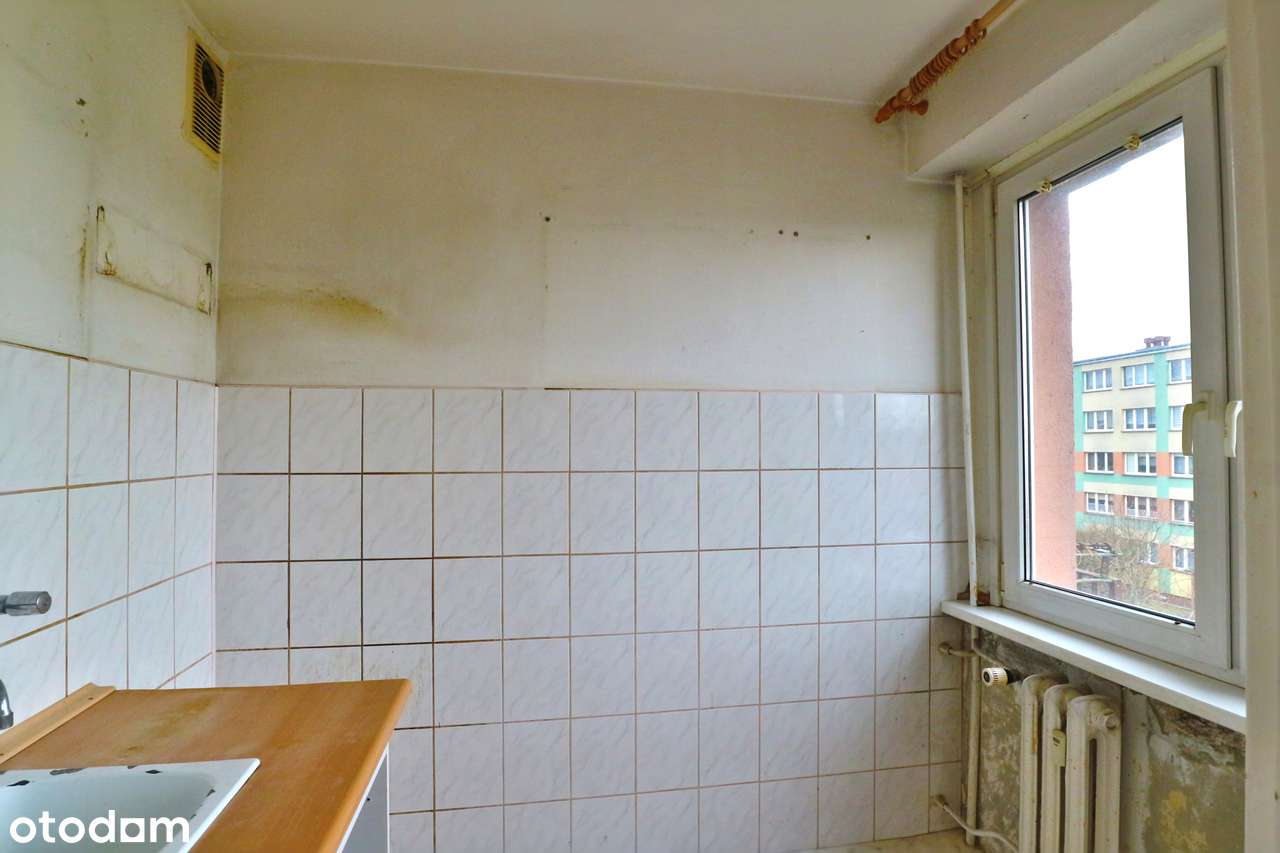 **Emilii Plater** - Pełny obrazek: 4/11