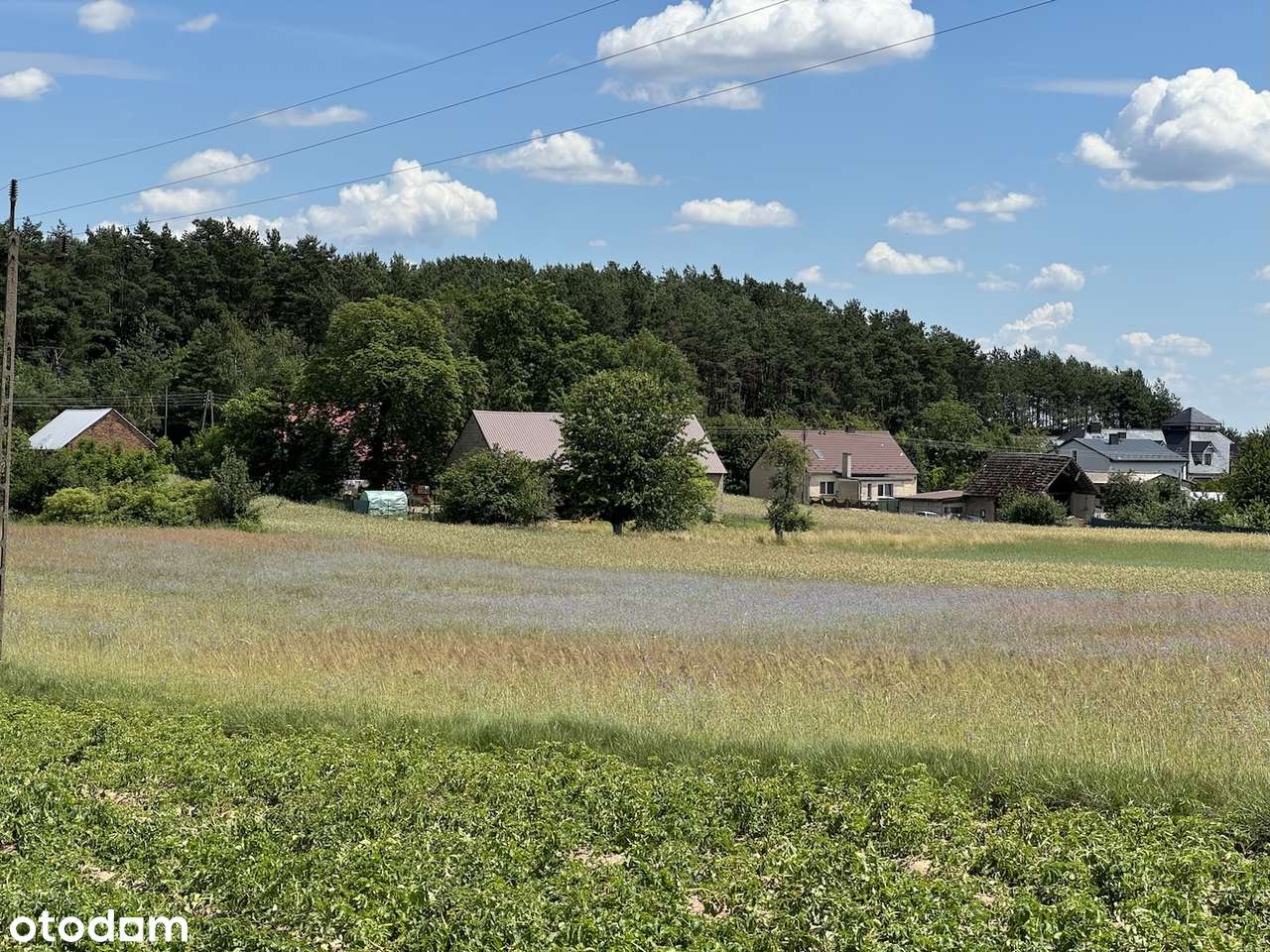 Działka budowlana z własnym lasem i asfaltowym dojazdem, media!-14