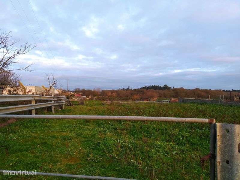 Vacaria com casa de habitação - Grande imagem: 4/8