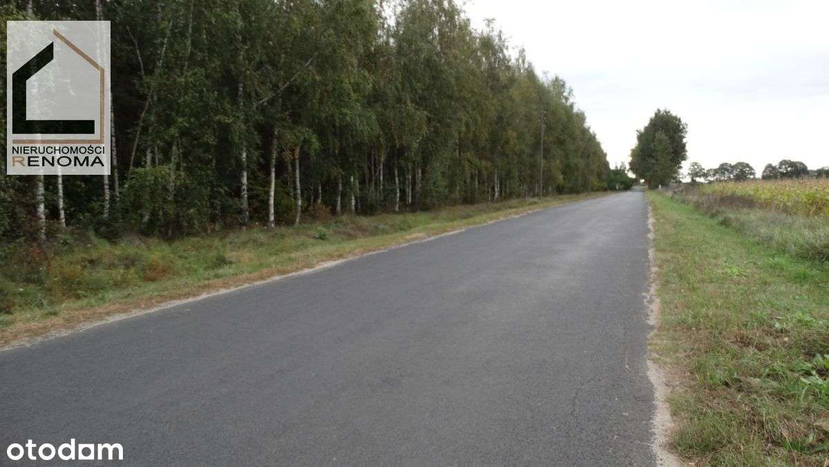 Doskonała lokalizacja w Gościejewie - Pełny obrazek: 4/4