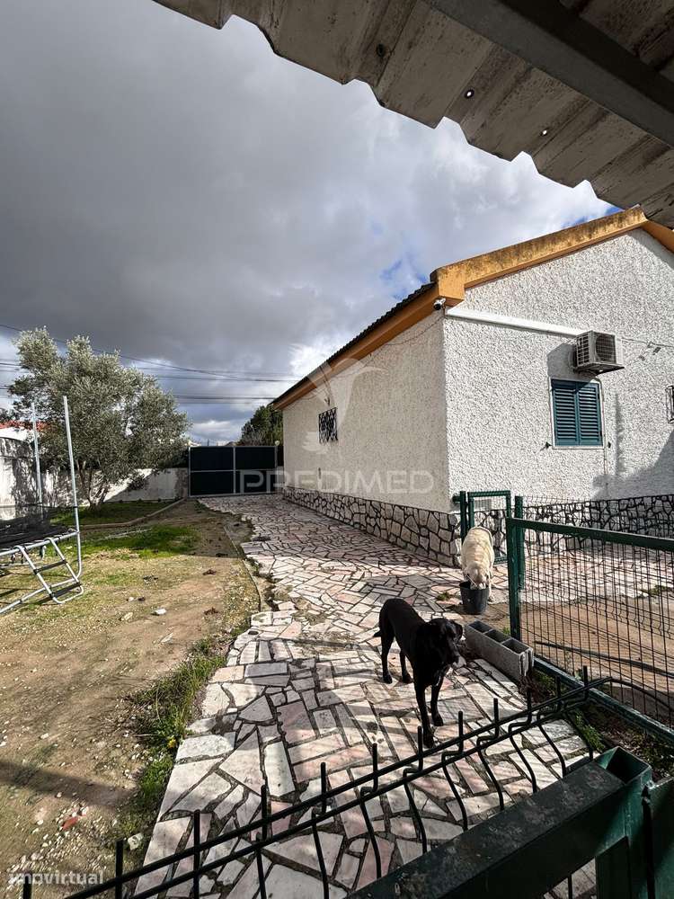 Oportunidade! Moradia Isolada Penalva - Grande imagem: 4/28