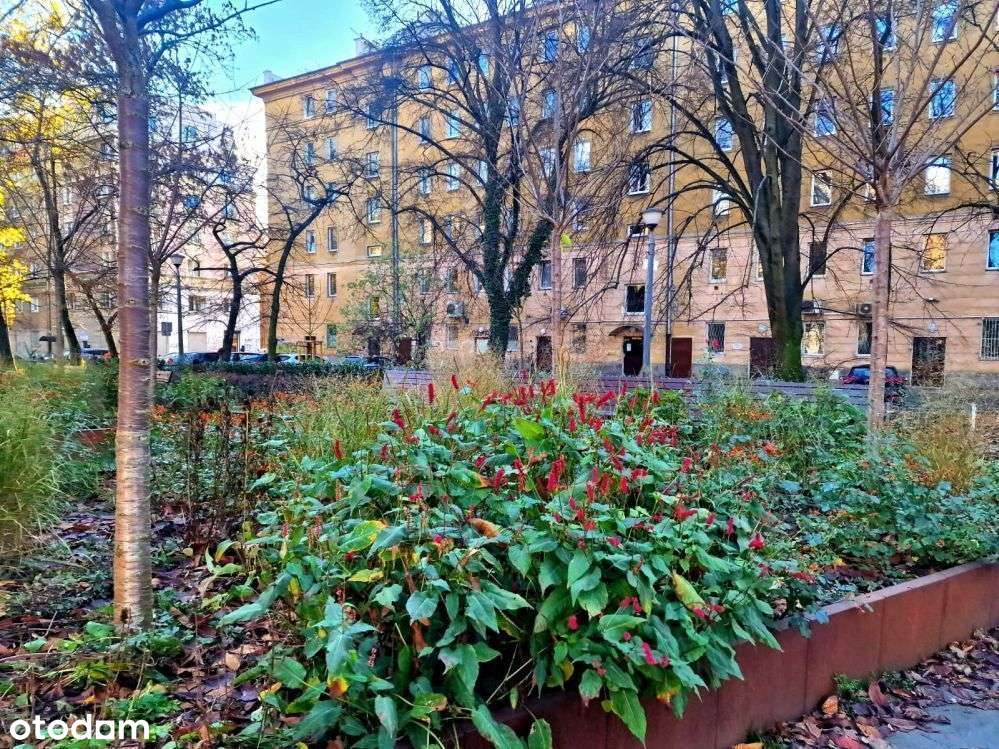 Centrum 4 pokoje,możliwość parkowania na-1