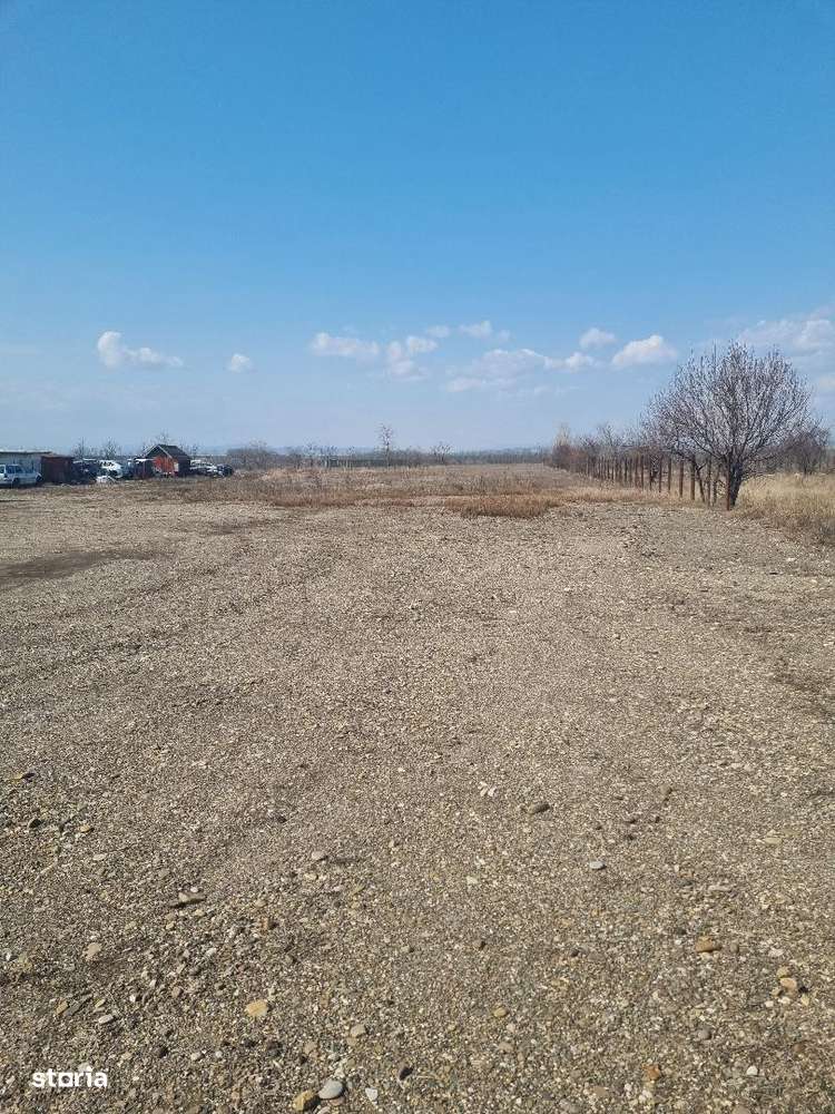 Teren comercial 7200mp, E 85 , Buzau !-2