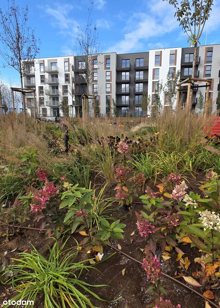 2 pokoje taras 11,5m2 HALA piwnica 6m2 GOTOWE DO ODBIORU bez prowizji! - Pełny obrazek: 3/20