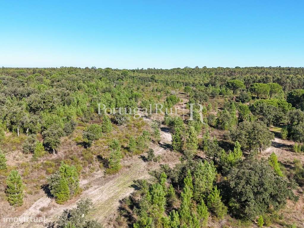 Quinta de 20ha com projeto para Turismo Rural a 1h de Lisboa-42