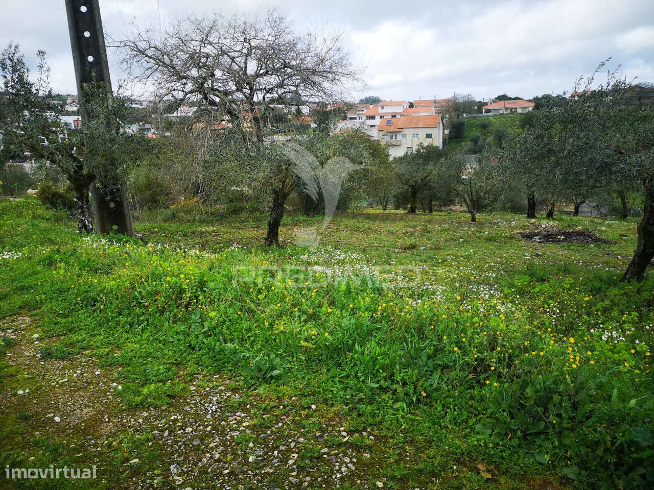 Terreno Rústico Urbanizável em Santa Catarina da Serra e Chainça - Grande imagem: 5/9