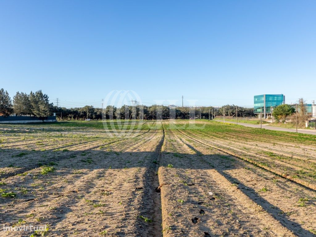 Lote de terreno industrial em Palmela