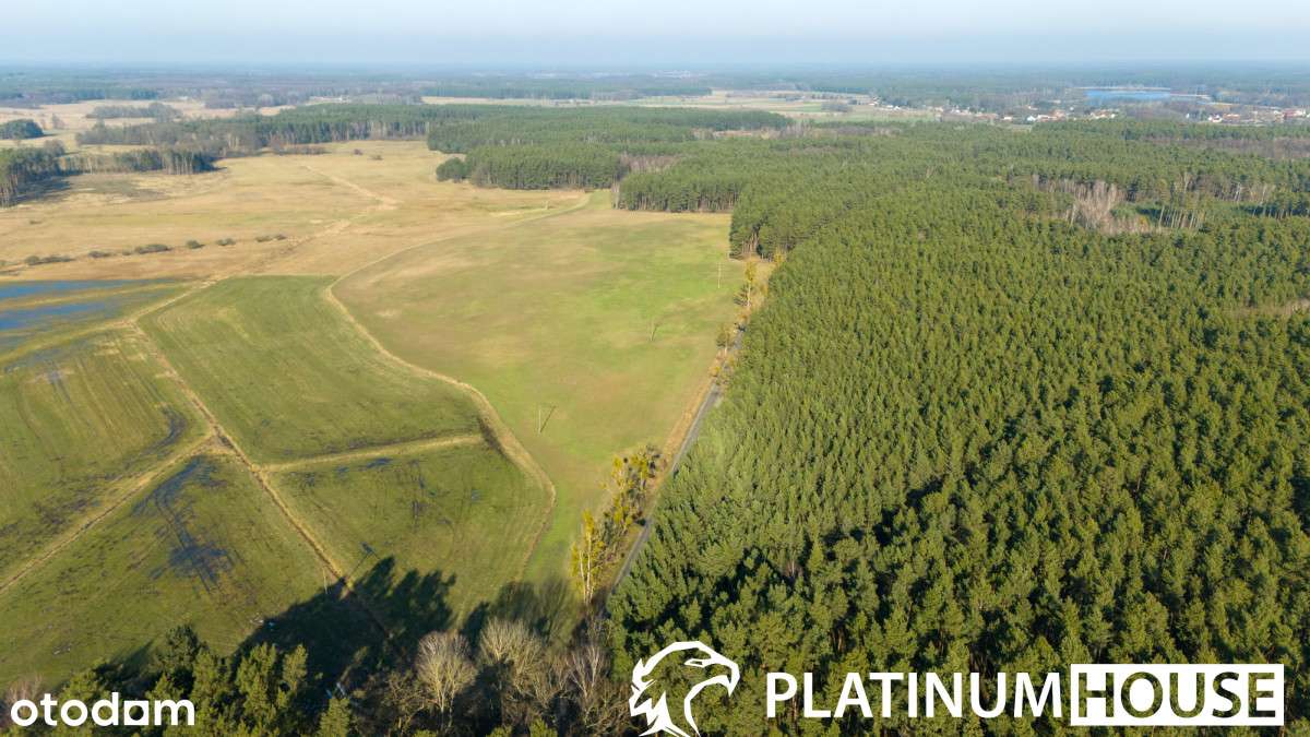 Działka rolna 4,26 ha | Lutol Mokry | Inwestycja - Pełny obrazek: 4/11