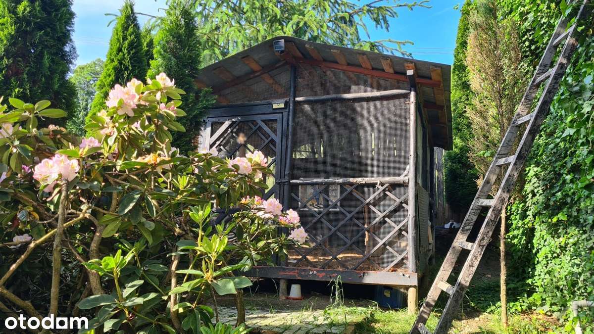 Dom w Złatnej wśród natury, daleko od głównej drogi. - Pełny obrazek: 2/18