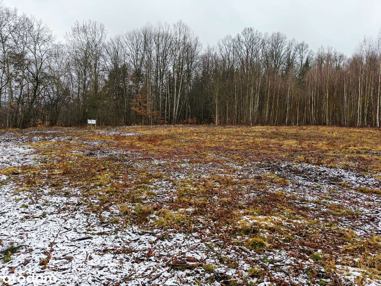 działka w lesie|MPZP| zabudowa jednorodzinna| dobry dojazd z WRO| góry-6