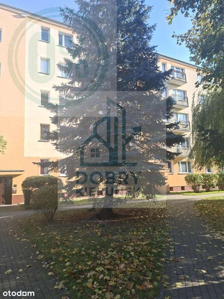 Mieszkanie 3 pokoje na Ochocie - Pełny obrazek: 5/11