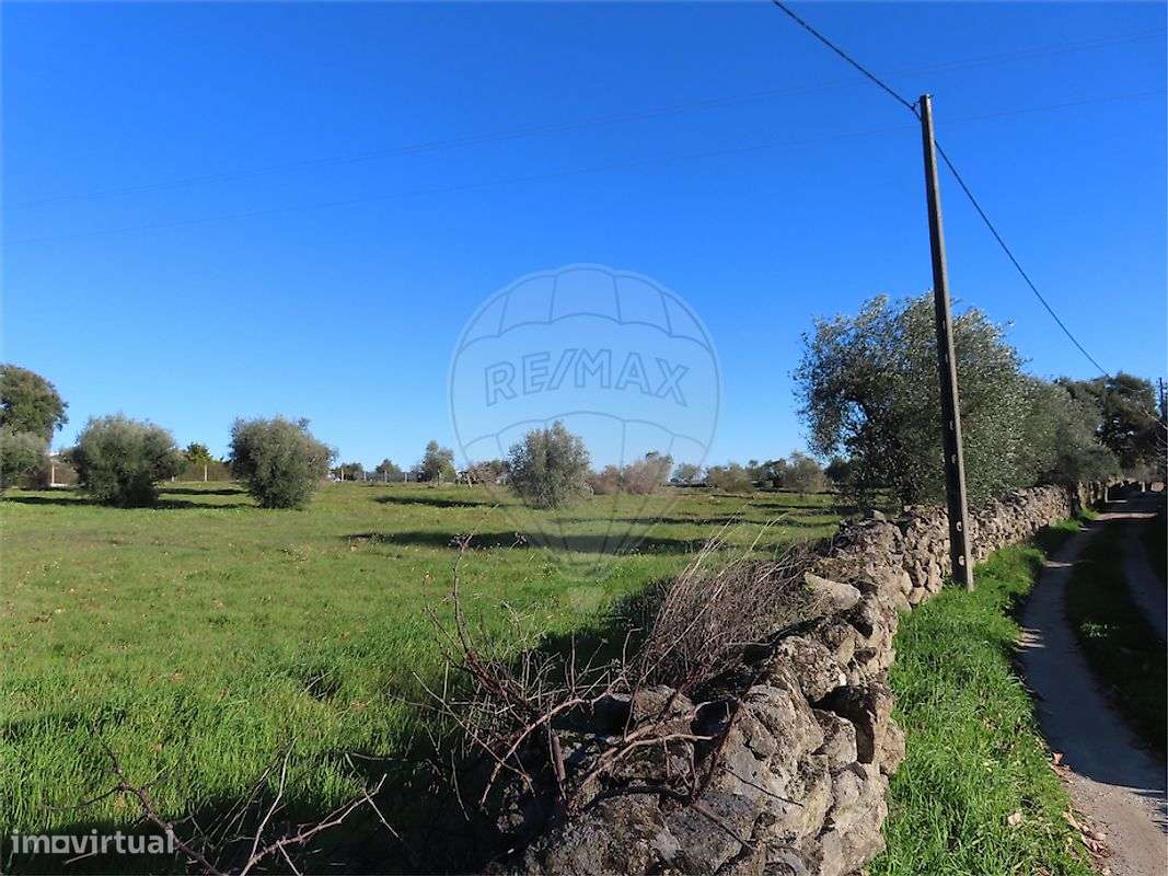 Terreno  para venda - Grande imagem: 5/7