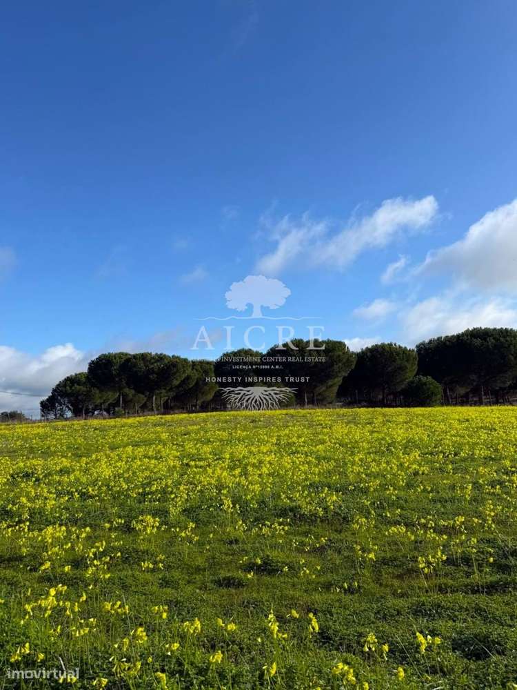 Excelente oportunidade de investimento em Canha – Montijo - Grande imagem: 5/24