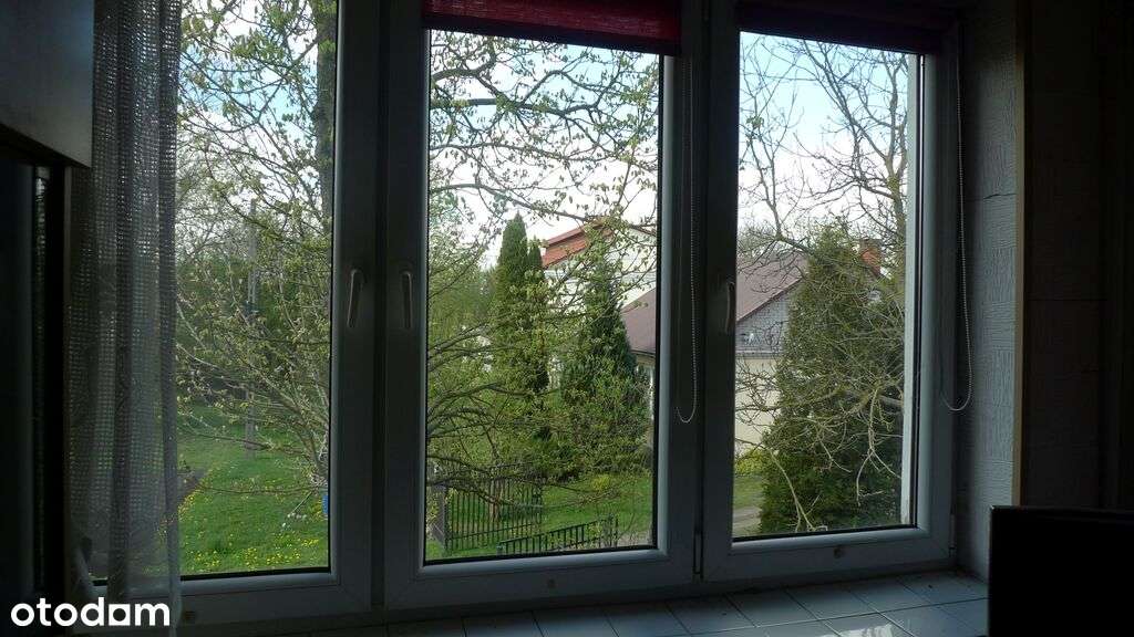 siedlisko, prawie 1 ha ziemi, w pięknym otoczeniu!-4