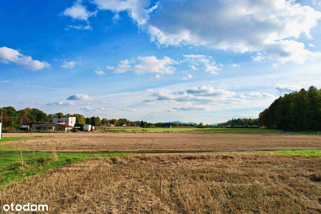 Pierściec , na sprzedaż działki w uroczym zakątku - Pełny obrazek: 5/12
