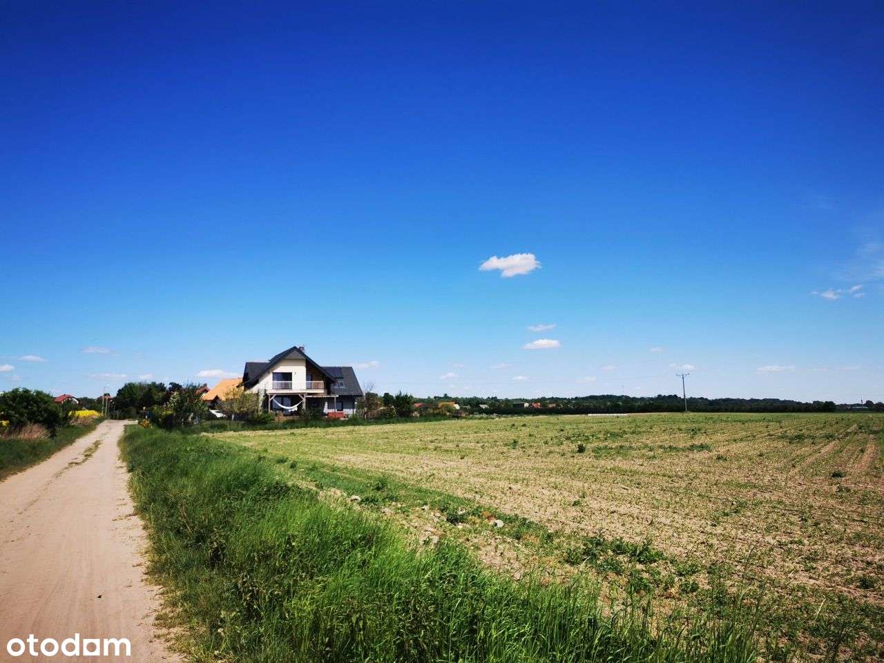 Działka budowlana | 12a | Piotrkowiczki | - Pełny obrazek: 5/6