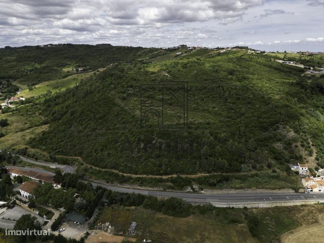 TERRENO MISTO COM 48Ha EM ALENQUER!-10