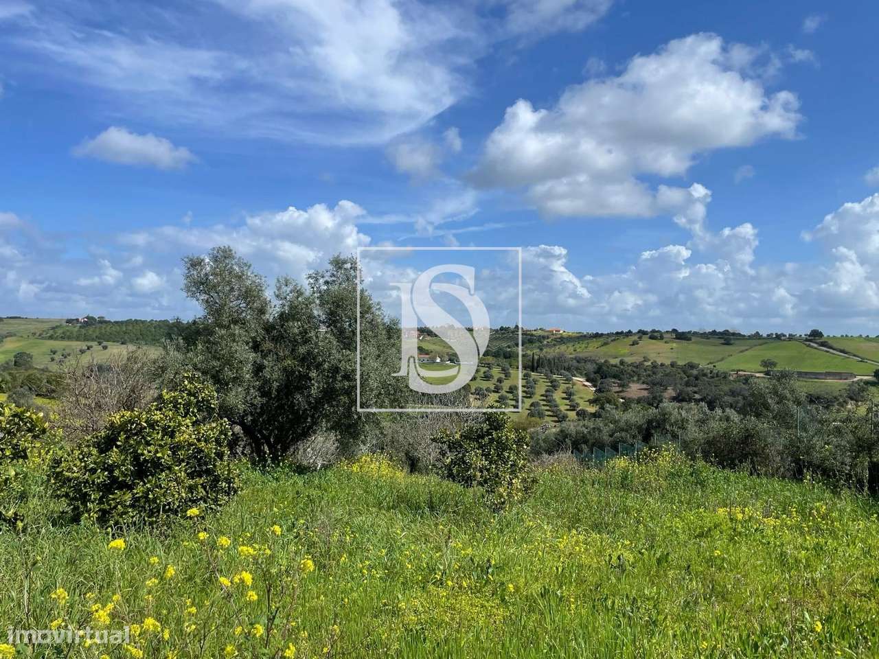 Terreno Urbano com 291 mt2 - Abitureiras - Grande imagem: 4/7