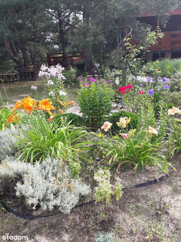 Działka z domem nad wodą - Pełny obrazek: 4/15