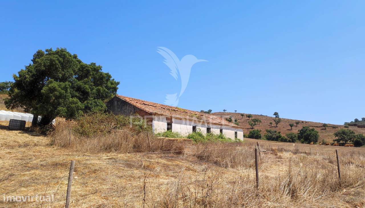 Herdade com 36,9000 ha a 3 Km do Pego das Pias - Grande imagem: 1/40