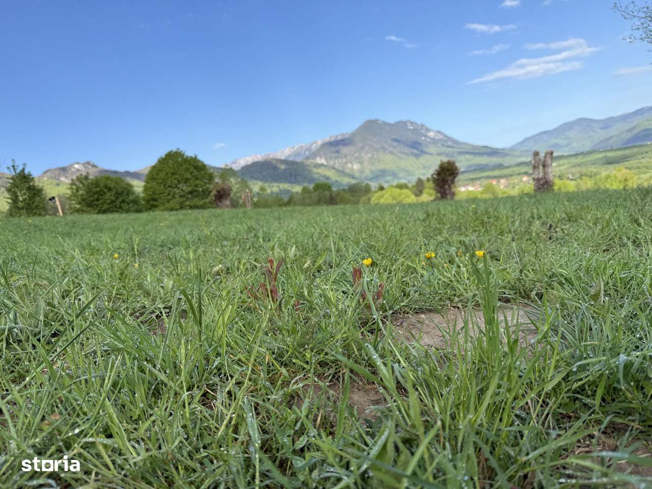 Teren intravilan zona Bran-Tohanita,judetul Brasov intre 500 si 1000 m - Imagine principală: 2/20