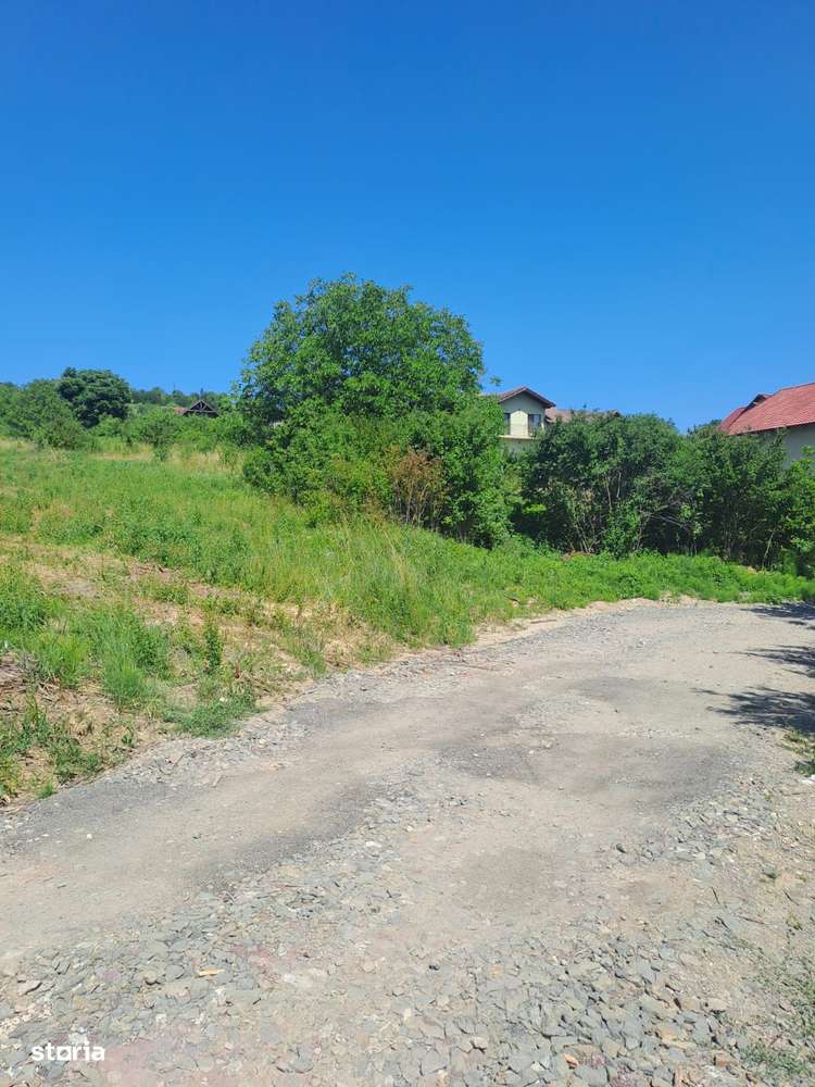 Teren intravilan 20 ari - strada Merilor - Imagine principală: 4/4