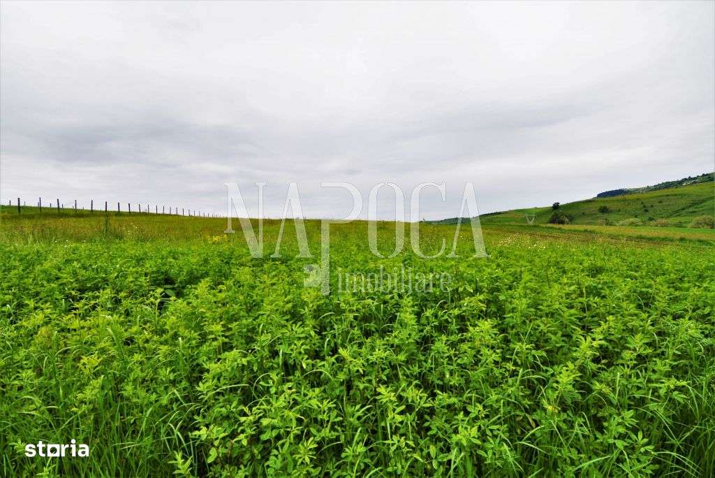 Teren extravilan pentru constructii de vanzare in Popesti - Imagine principală: 1/5