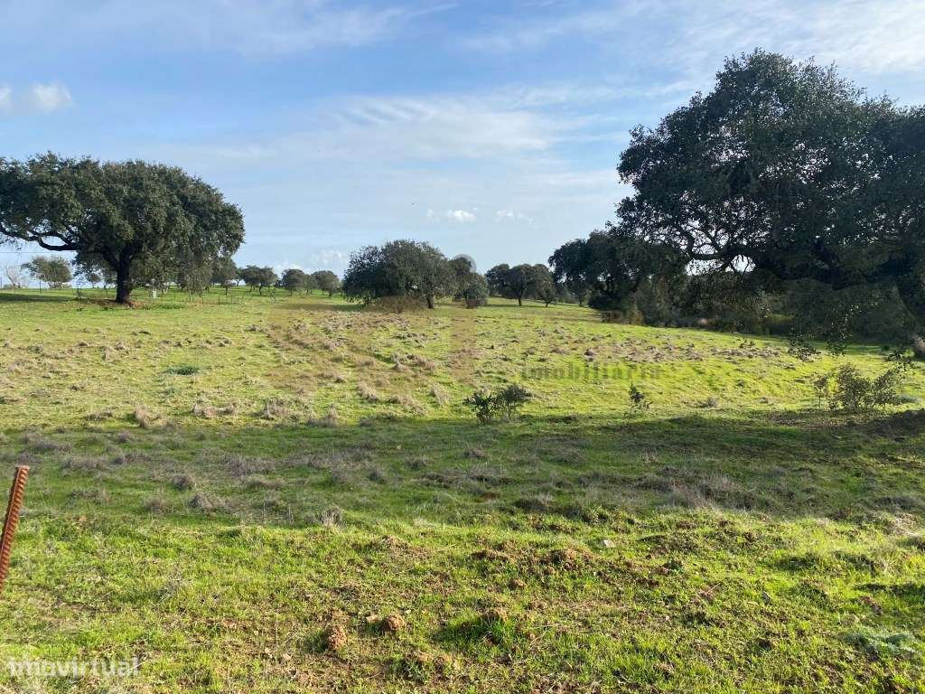 Terreno rústico nas imediações de Vila Nova de São Bento - Grande imagem: 5/23