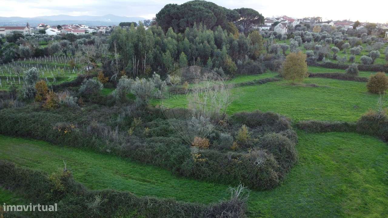 Terreno  para venda - Grande imagem: 5/7