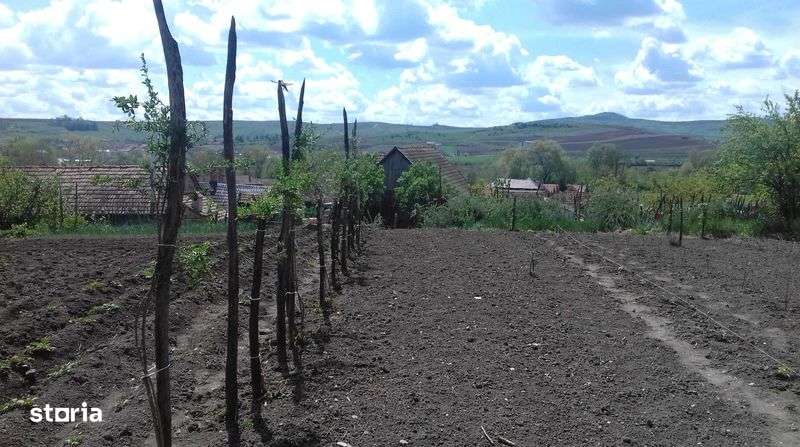 Se vinde casa in Biia - Imagine principală: 5/5