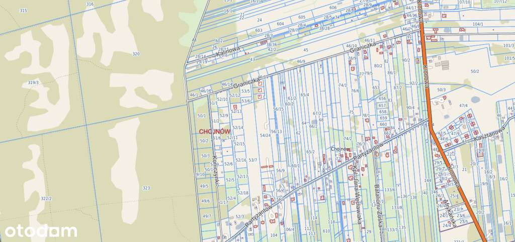 Chojnów - 1000 m2 - zabudowa jednorodzinna-1