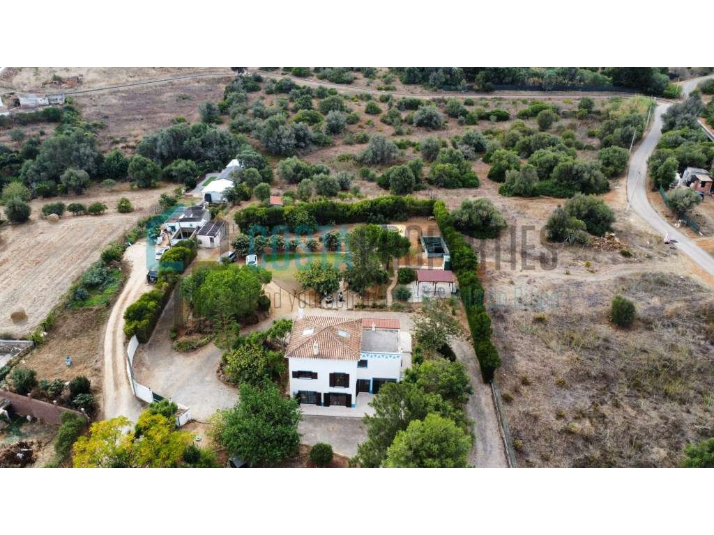 Moradia T2+1 com amplo terreno e jardim maduro conforto, privacidad... - Grande imagem: 5/60