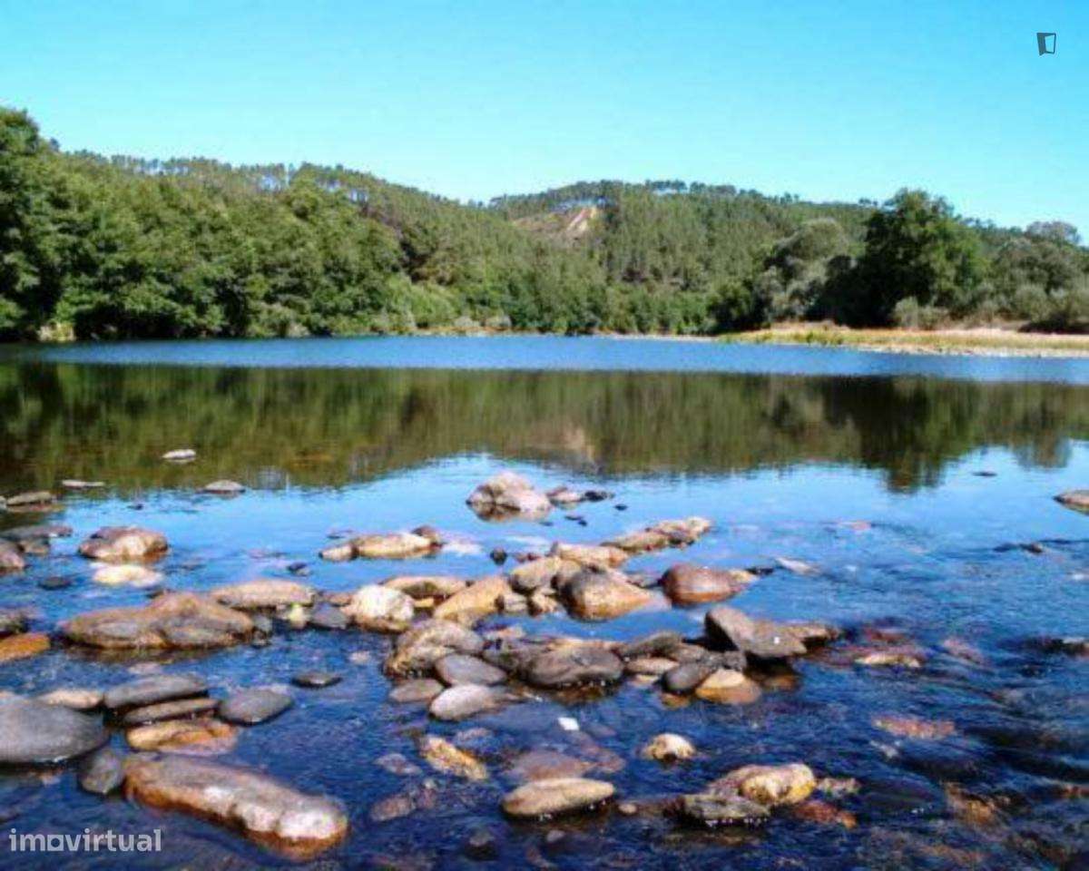 Casa com 3 quartos - localizado em Castelo branco - Grande imagem: 5/6