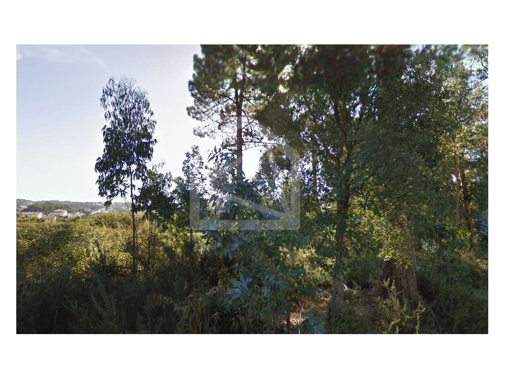 Terreno em Oliveira de Azeméis - Grande imagem: 5/6