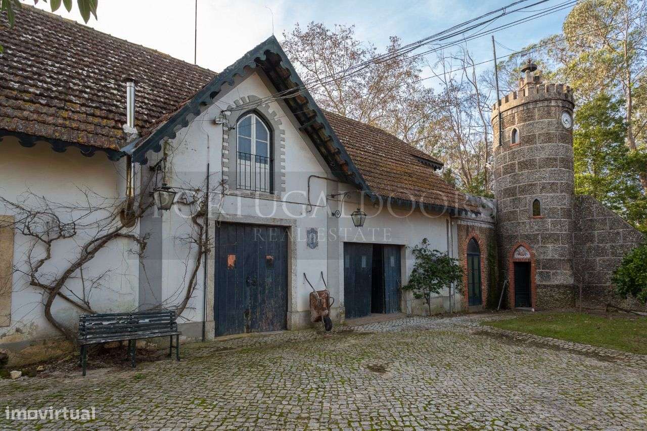 Quinta 5Ha em Azeitão - Grande imagem: 4/60