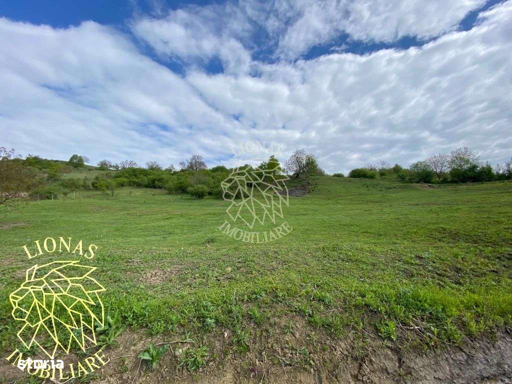 Teren Extravilan - Ghinda - 3.5000mp-Parcelabil - Imagine principală: 1/7