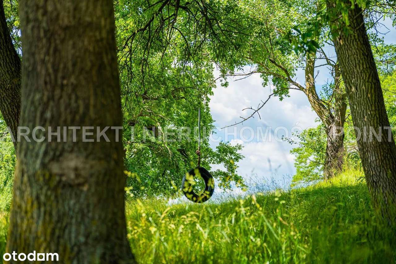 Działka letniskowa Młynarze,  Bug i Fiszor-3