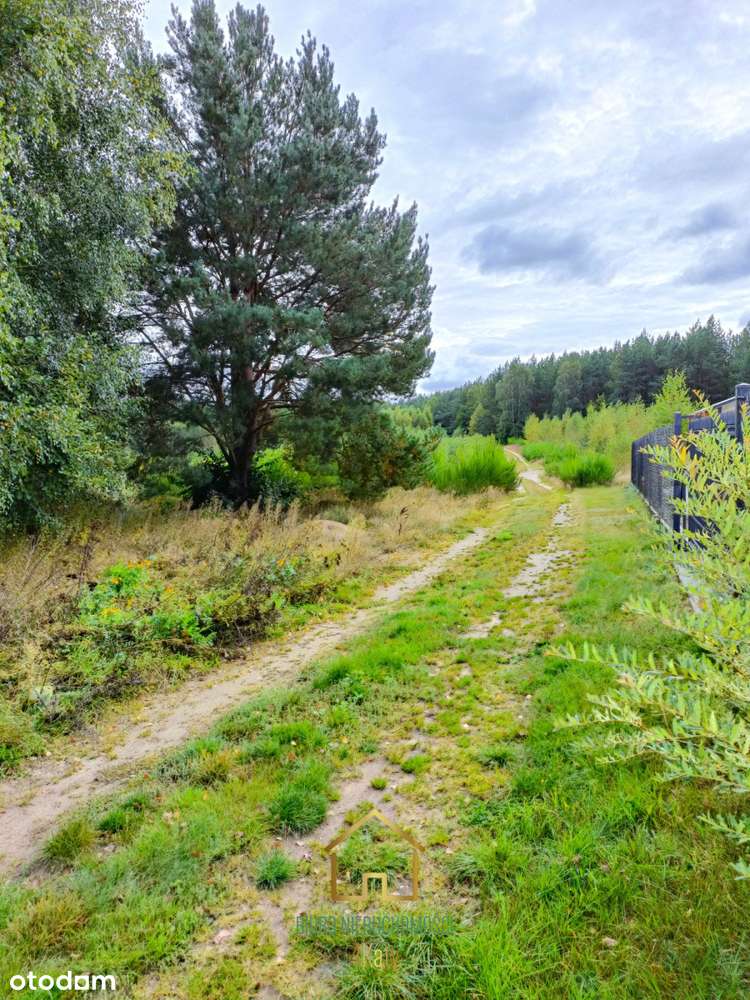 Strzebielino, działka 2034m2 z domkiem całorocznym-15